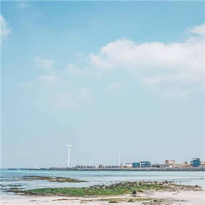 全民进化手游下载